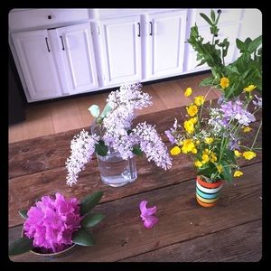 Meet your Posher, Izzy